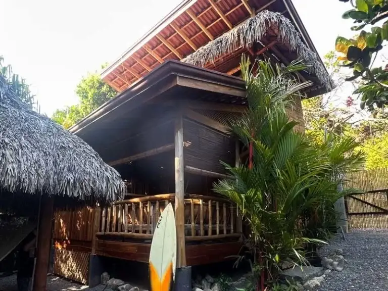 A rustic yet appealing wooden cabin with a thatched roof and a surfboard propped outside, surrounded by tropical plants.
