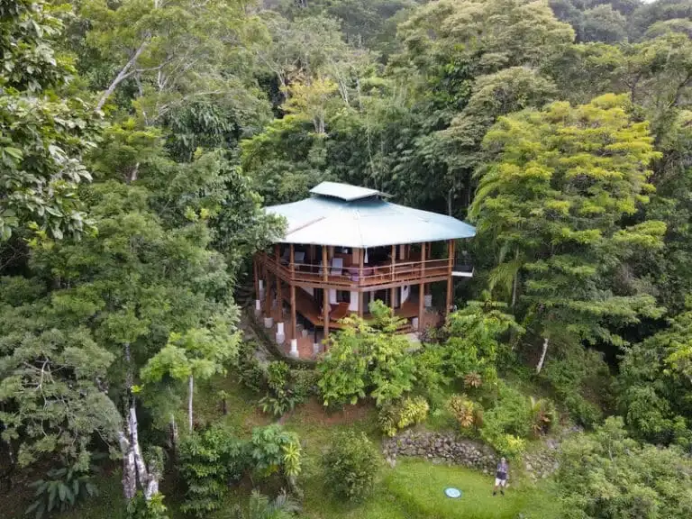 An elevated, multi-level wooden house with a green roof, deeply embedded within a dense, vibrant green jungle or forest.