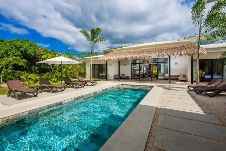 A beautiful contemporary home with a thatched roof, featuring a long, inviting swimming pool and lounge chairs under a clear blue sky.