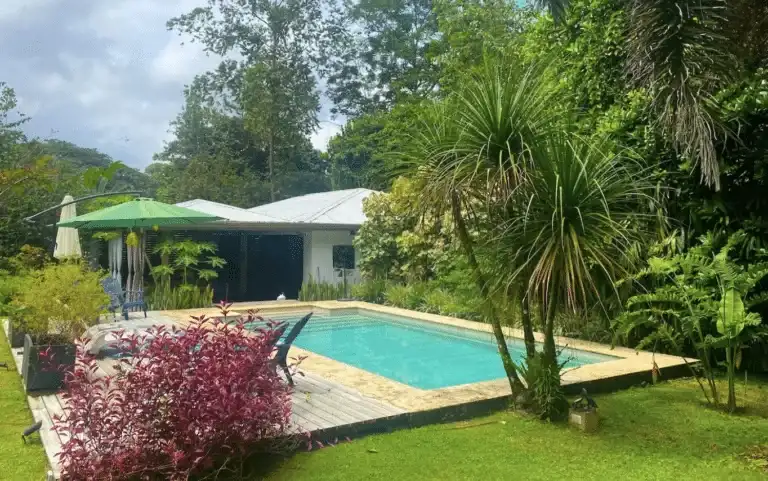 An elegant modern house with an expansive open-air design and a large swimming pool, surrounded by dense green trees.