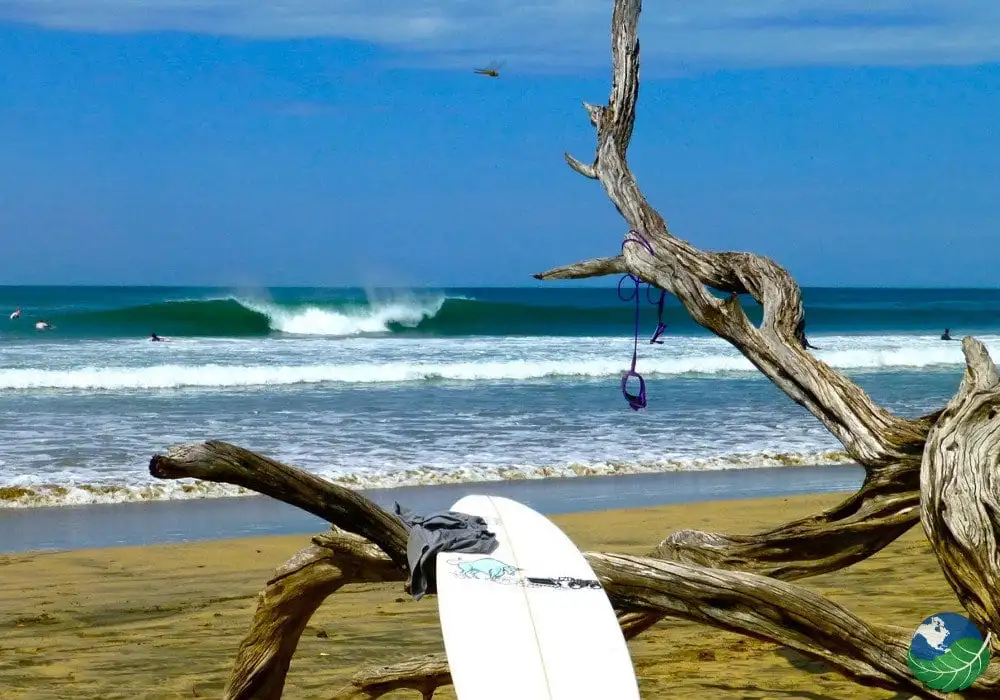 Playa Avellanas with a wave in a background and a surfboard resting on drift wood in the foreground.