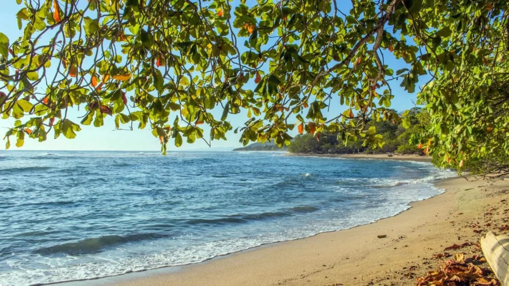 Puntarenas Beach Costa Rica